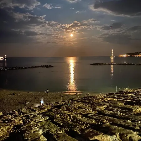 The Bridge - Your Dream In Αντίμπ